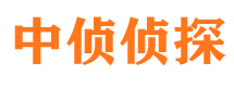 剑阁外遇调查取证